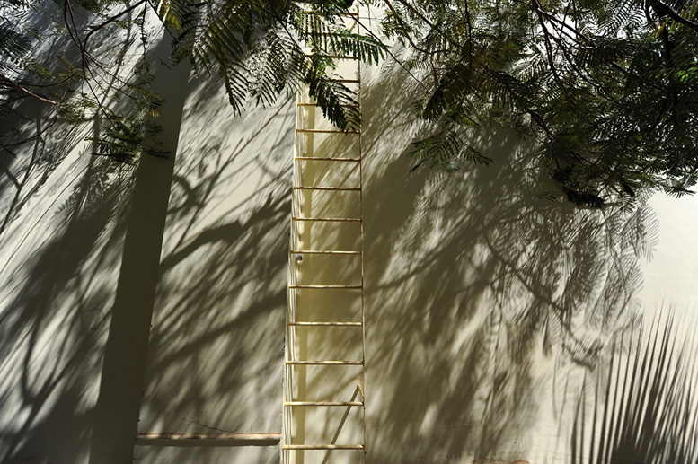 Gti Gyrgy: Ltra - Hurghadban  /  Ladder in Hurghada, 2009