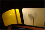 G�ti Gy�rgy G�tiFot� - GGY 3844