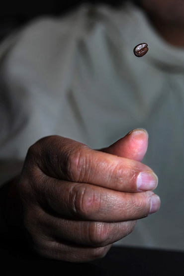 Gáti György: Felix with a Coffee Bean Gáti György: Felix from Colombia with a coffee bean