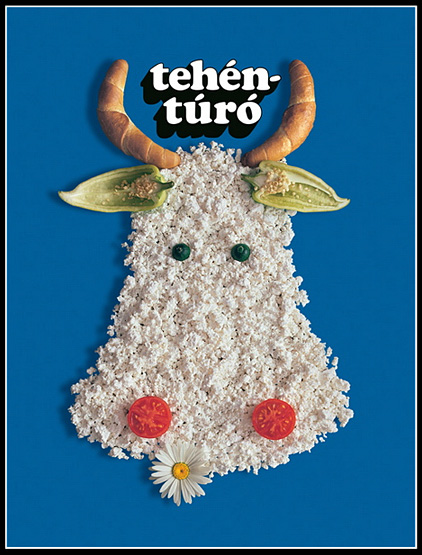 Tóth József - Füles: Tehéntúró - Tejipar 1974 Tóth József - Füles: Tehéntúró - Tejipar 1974